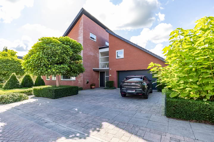 Foto 3 van Snavelbies 6