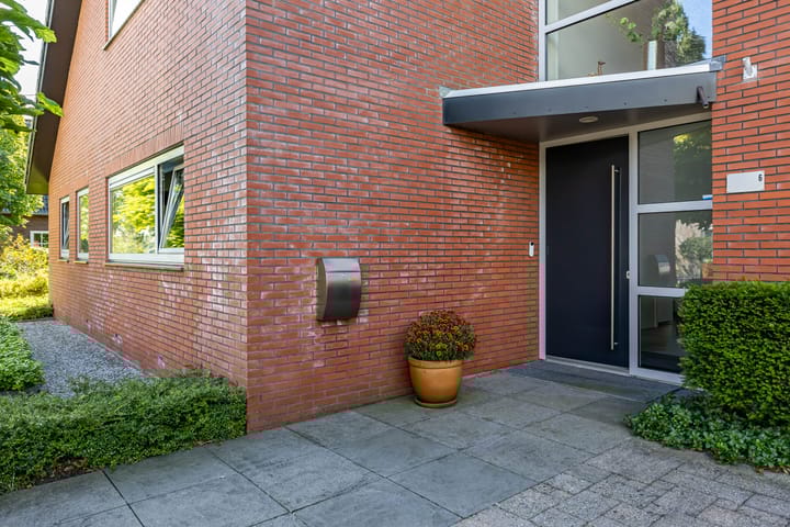 Foto 4 van Snavelbies 6