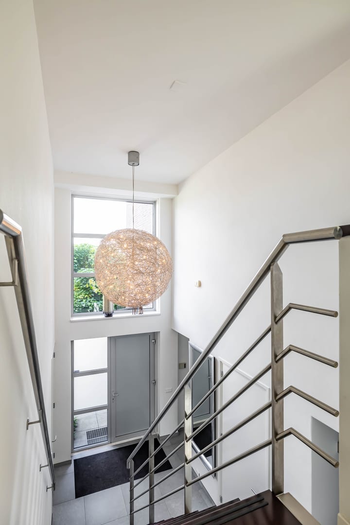 Foto 29 van Snavelbies 6