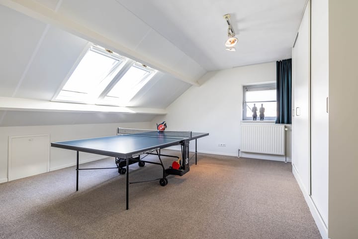 Foto 30 van Snavelbies 6