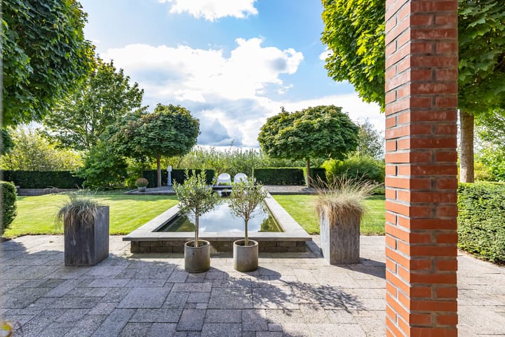 Foto 44 van Snavelbies 6