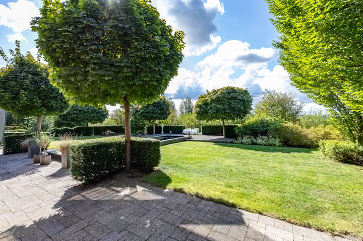 Foto 45 van Snavelbies 6