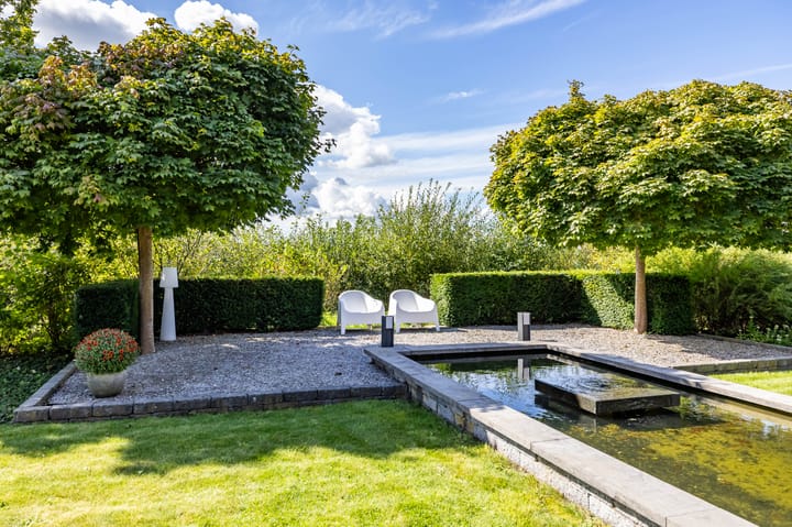 Foto 46 van Snavelbies 6