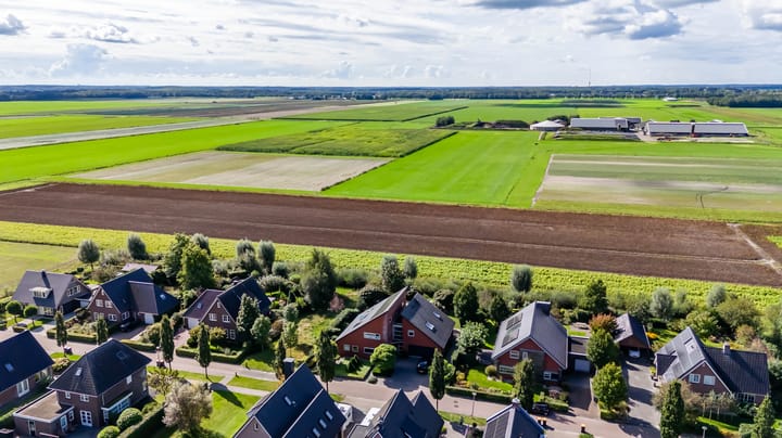 Foto 54 van Snavelbies 6