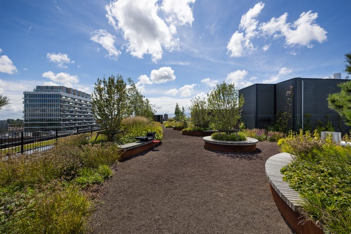 Foto 4 van Surinamepad 174