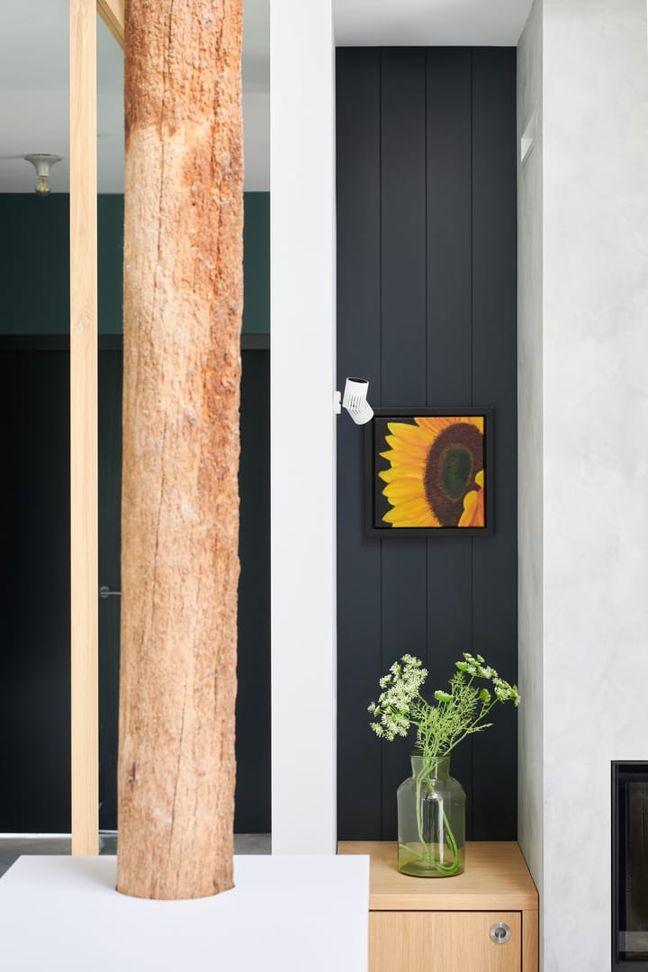 Foto 66 van Lineleane 7