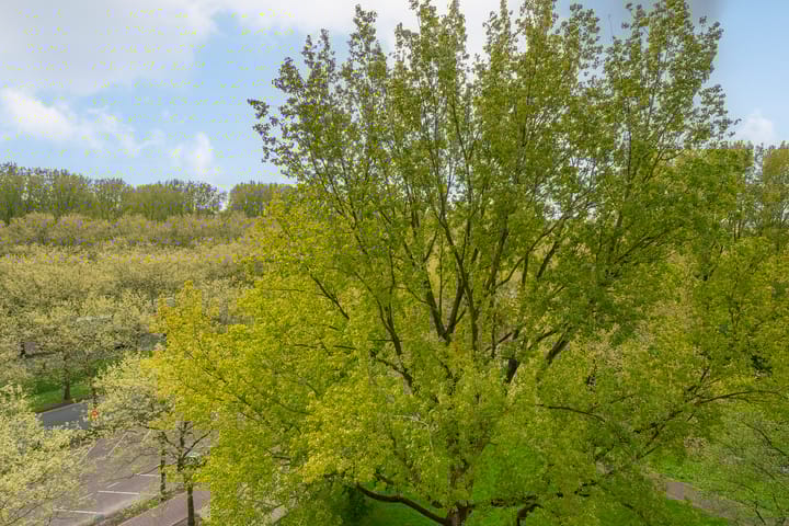 Foto 26 van Weerdestein 128