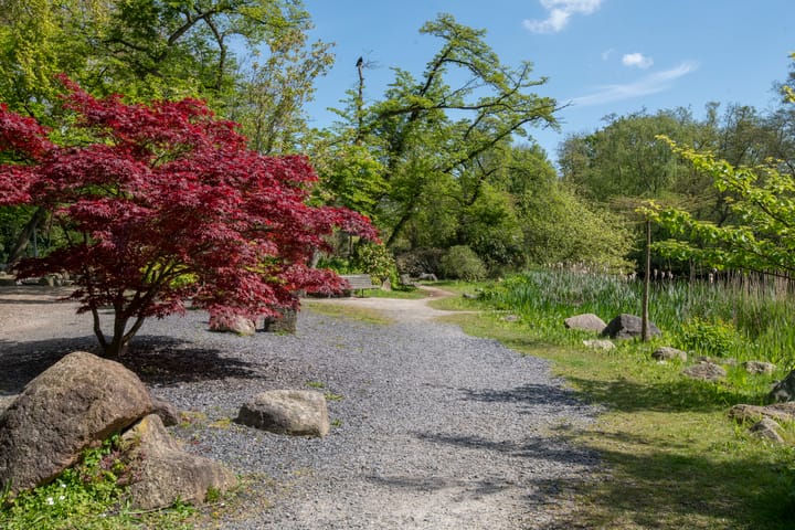 Foto 37 van Weerdestein 128