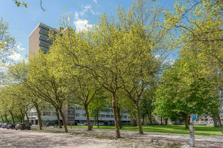 Foto 36 van Weerdestein 128