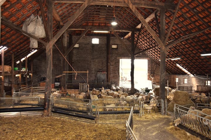 Foto 29 van Zuidzijde 23