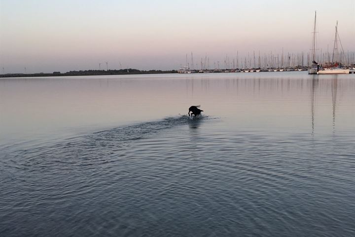 Bekijk foto 42 van Hoogerwerfsweg "De Tong" 25