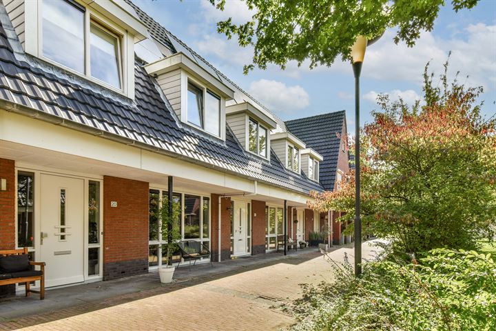 Bekijk foto 1 van Zandoogjestraat 18