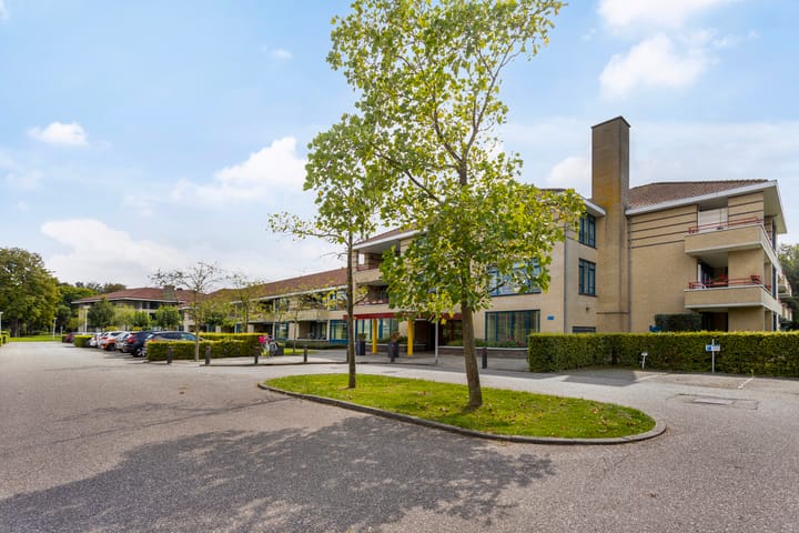 Foto 26 van Groot hoefbladlaan 66