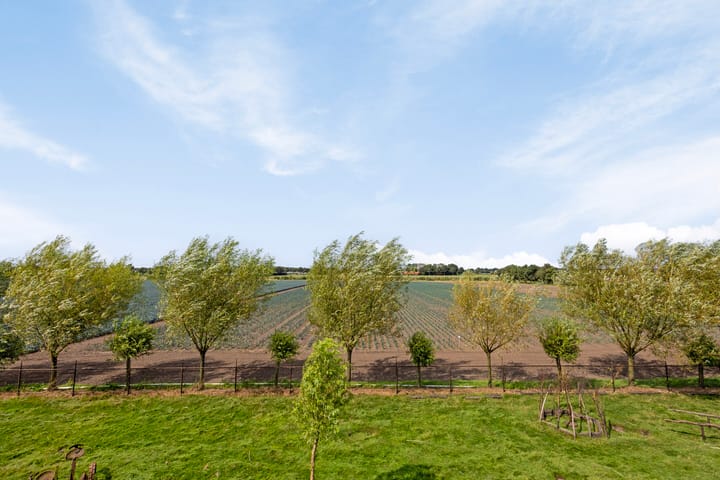 Foto 72 van Wevertweg 5