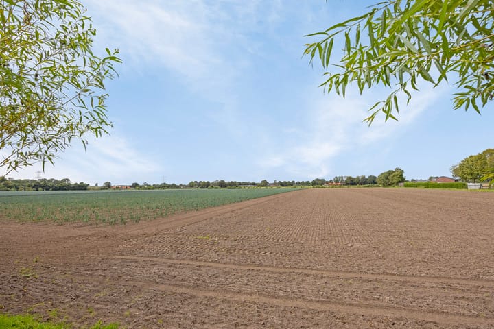 Foto 73 van Wevertweg 5