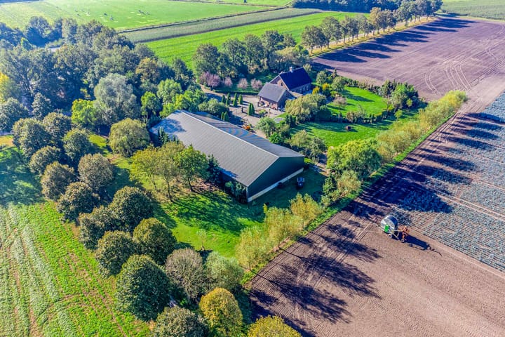 Foto 79 van Wevertweg 5