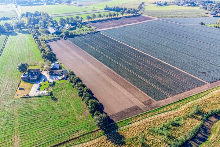 Foto 80 van Wevertweg 5