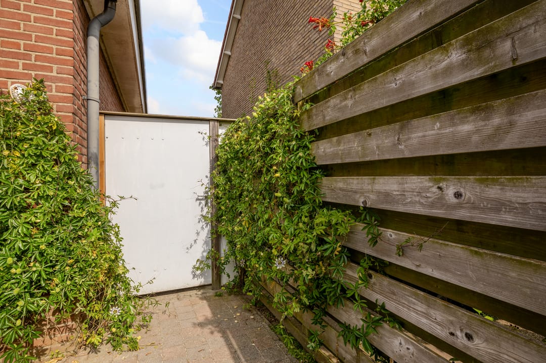 Foto 38 van Steneweg 3