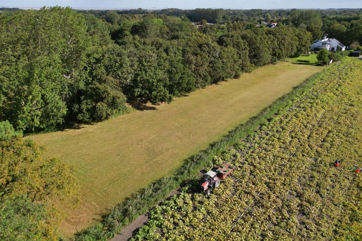 Foto 69 van Kelderweg 57-A