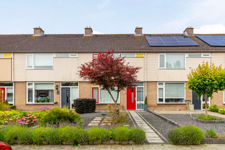 undefined main image