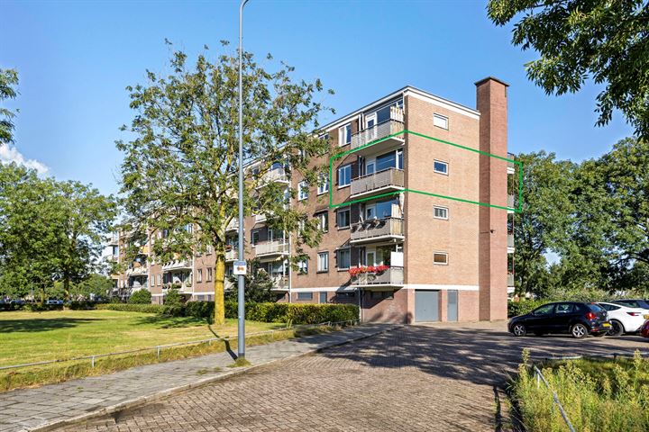 Bekijk foto 1 van Maassingel 180