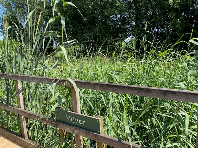 Foto 32 van Harnas 96