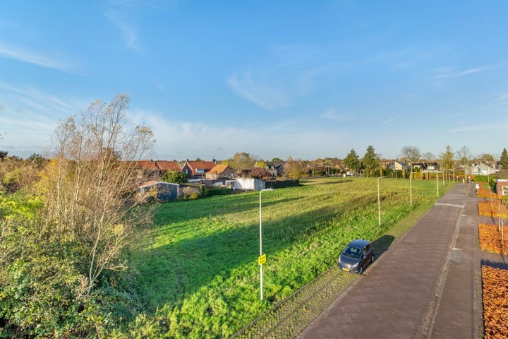 Bekijk foto 3 van plantagebaan