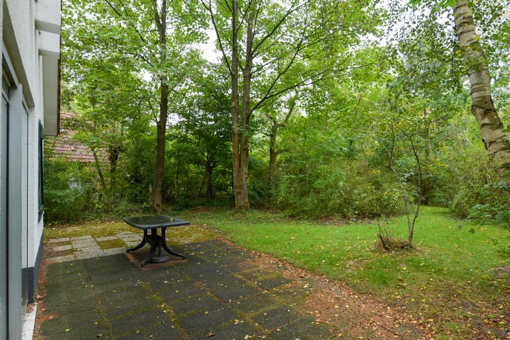 Photo 25 of De Rug 3-229