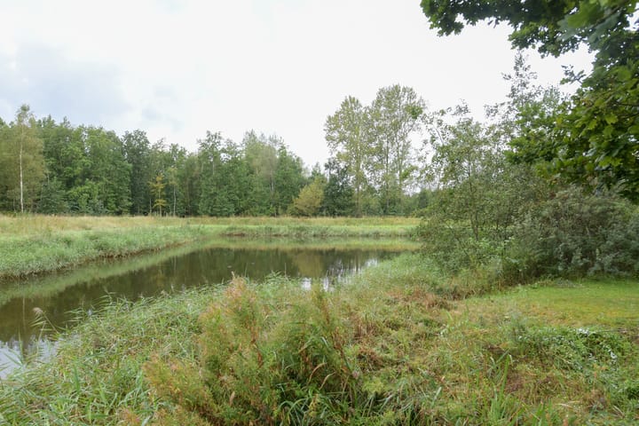 Photo 26 of De Rug 3-229