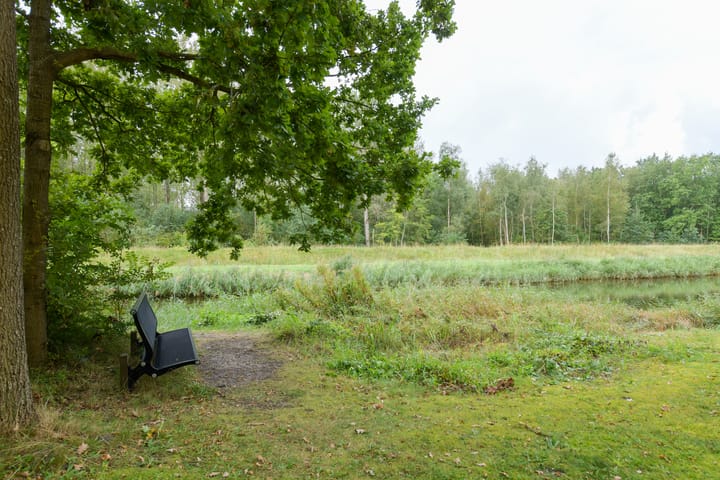 Photo 27 of De Rug 3-229