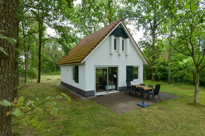 Photo 3 of De Rug 3-229