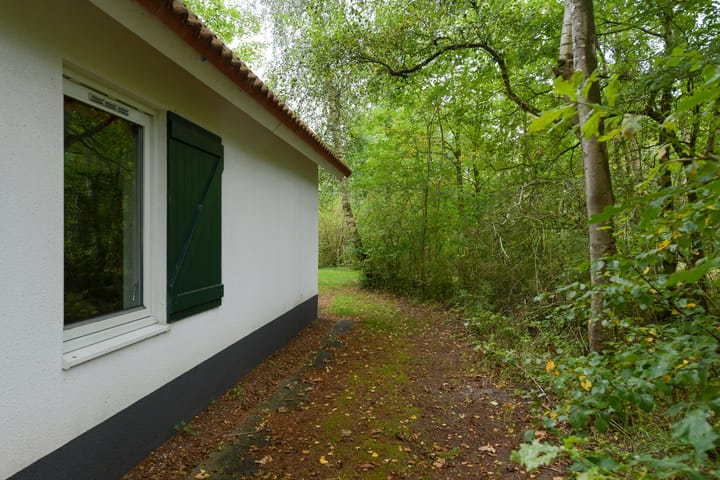 Photo 29 of De Rug 3-229