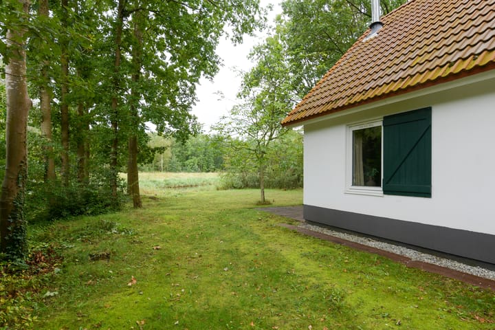 Photo 30 of De Rug 3-229