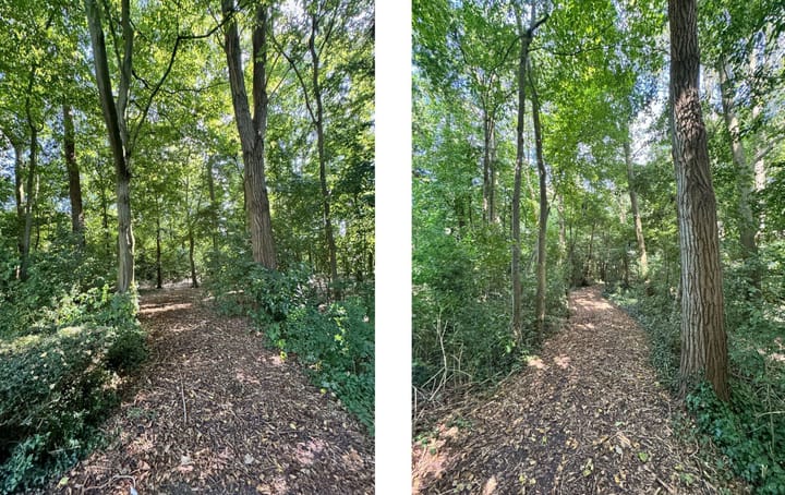 Foto 49 van Sandberglaan 2