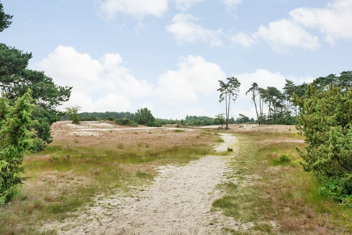 Bekijk foto 19 van Marsdijk 3-004