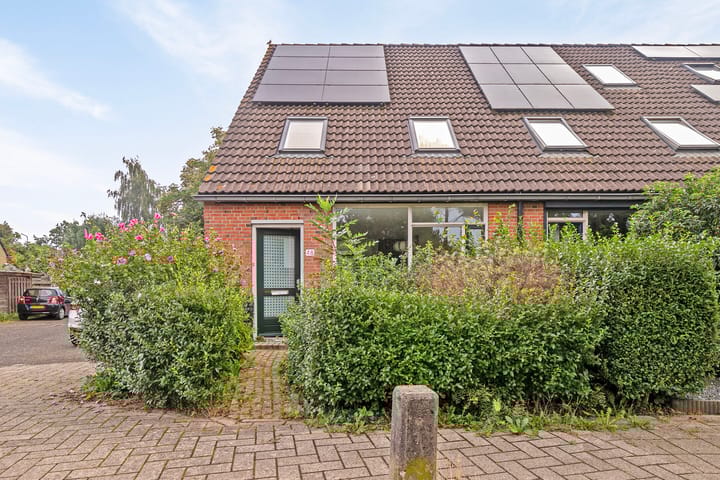 Foto 5 van Van Bosseware 48