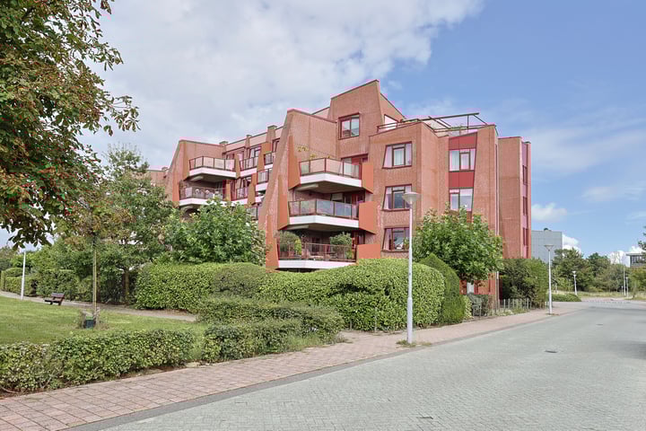 Foto 2 van Pieter acker 5