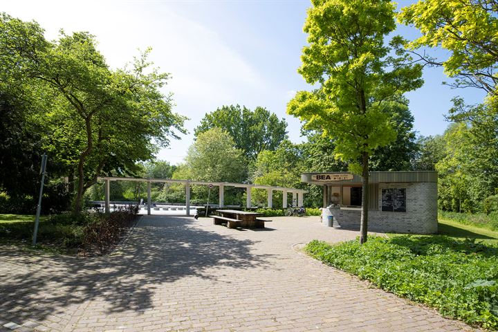 Bekijk foto 51 van Schipbeekstraat 34