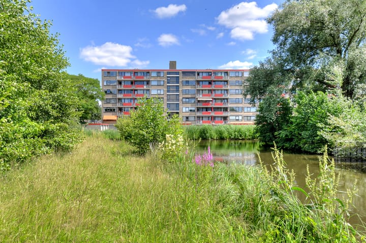 Foto 5 van Hobokenstraat 363