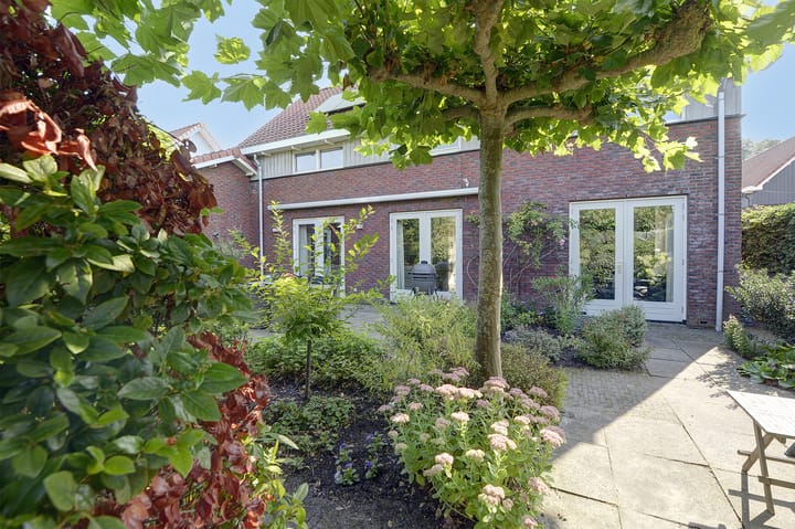 Foto 3 van Hangelier 5