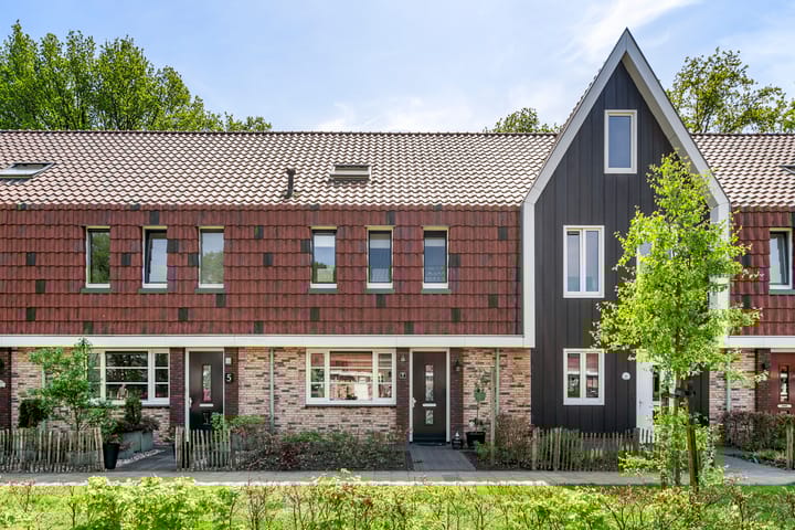 undefined main image