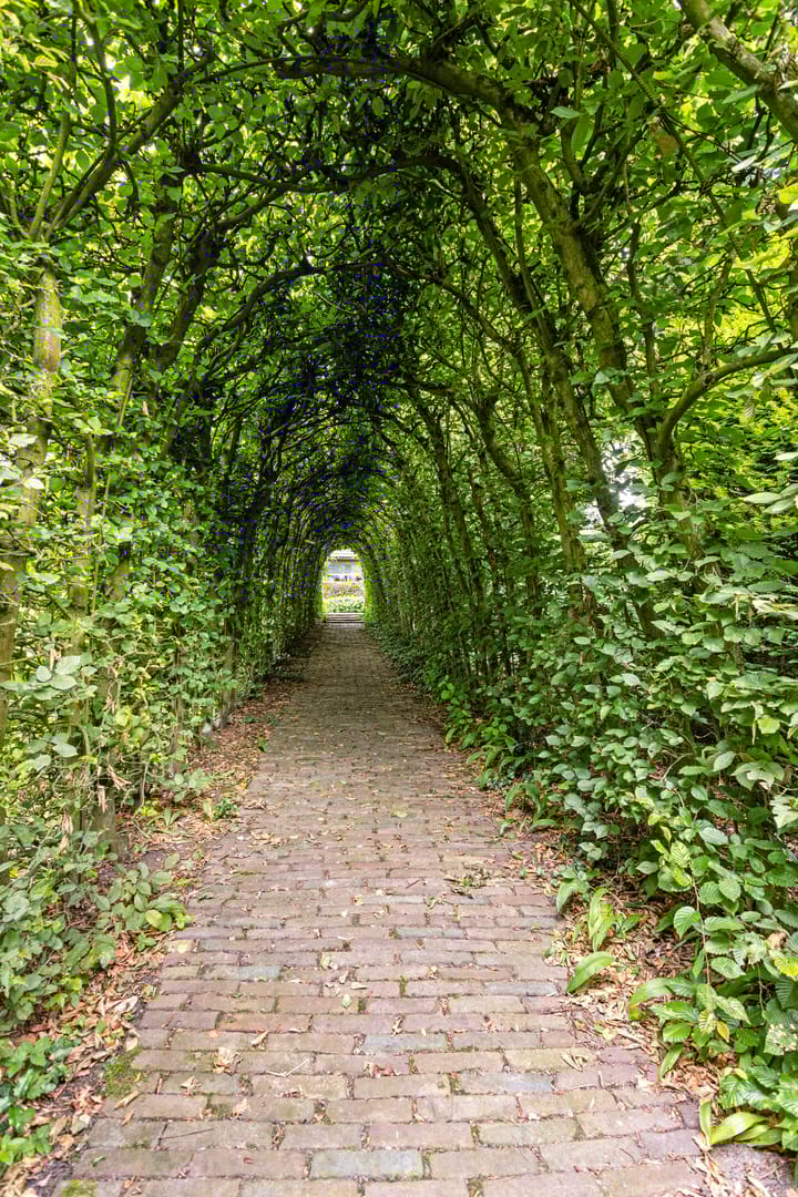 Foto 5 van Vijfhuizerweg 35