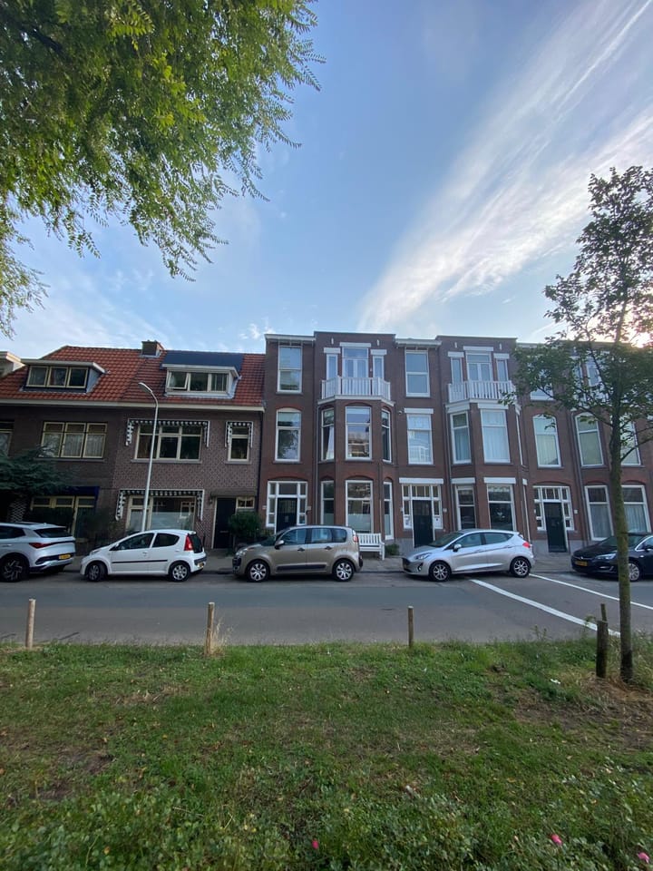 Foto 3 van Ieplaan 103