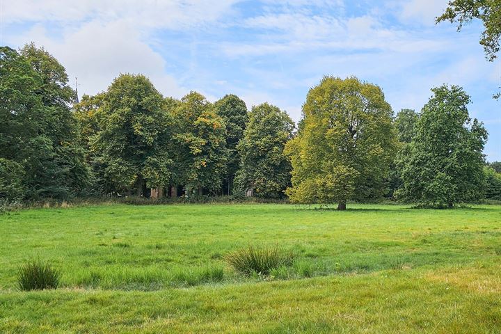 Bekijk foto 53 van Wolphert van Brederodeweg 5