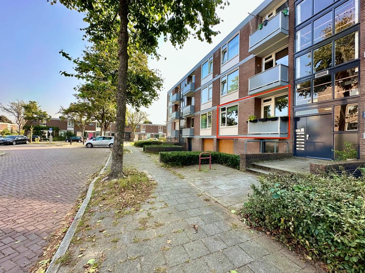 undefined main image