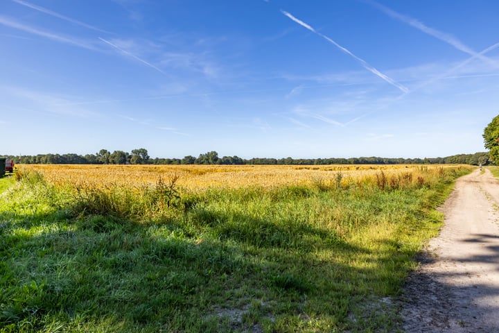 Bekijk foto 54 van Zuidlaarderweg 66