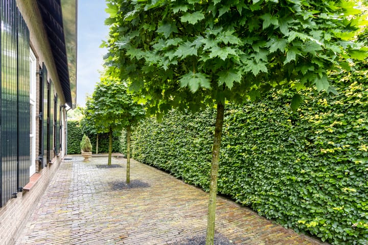 Foto 58 van Steenweg 6