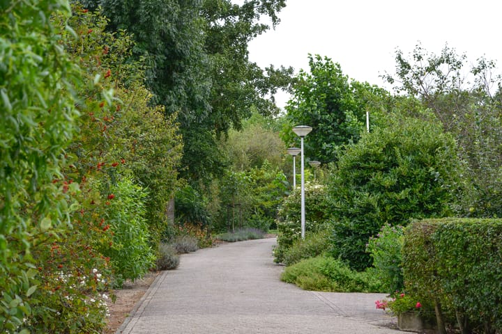 Foto 70 van Lange Meentweg 4