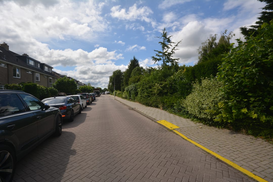 Foto 8 van Badhoevelaan