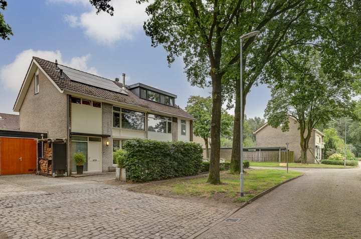 Foto 4 van Liefkenshoek 21